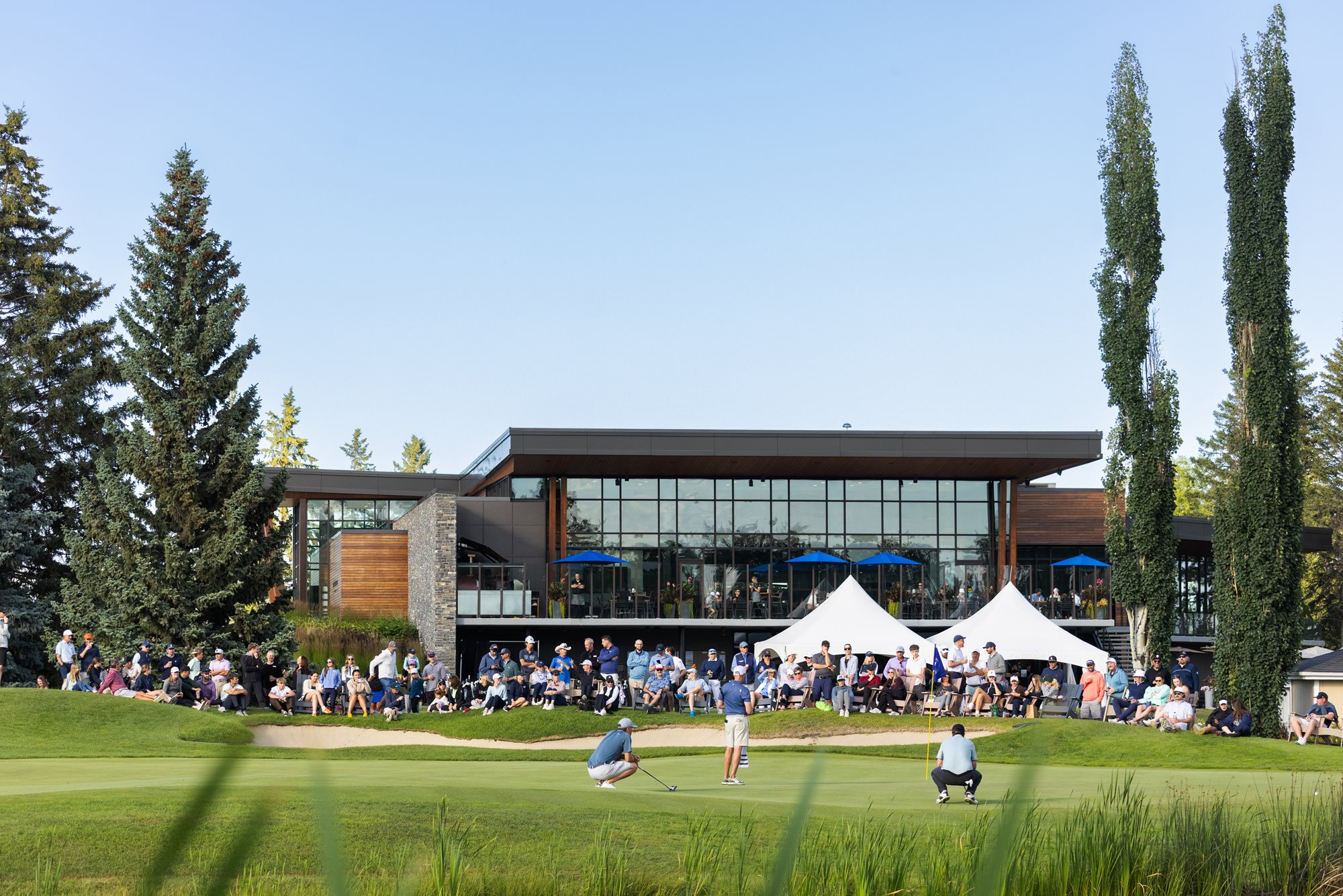 2026 18 green CC